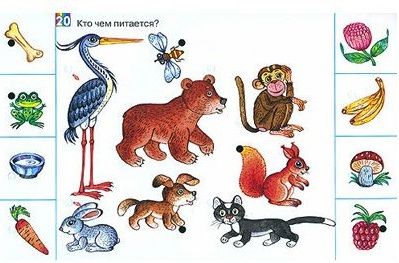 Фото Дополнительные карточки Развитие мышления к эл.вине