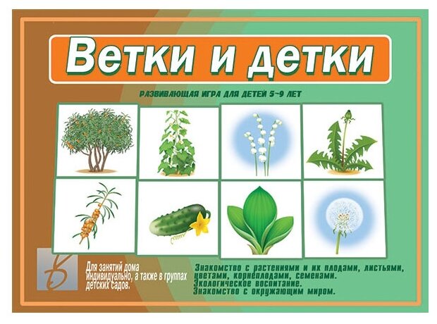 Фото Игра "Ветки и детки" - экологическое воспитание, знакомство с растительным миром