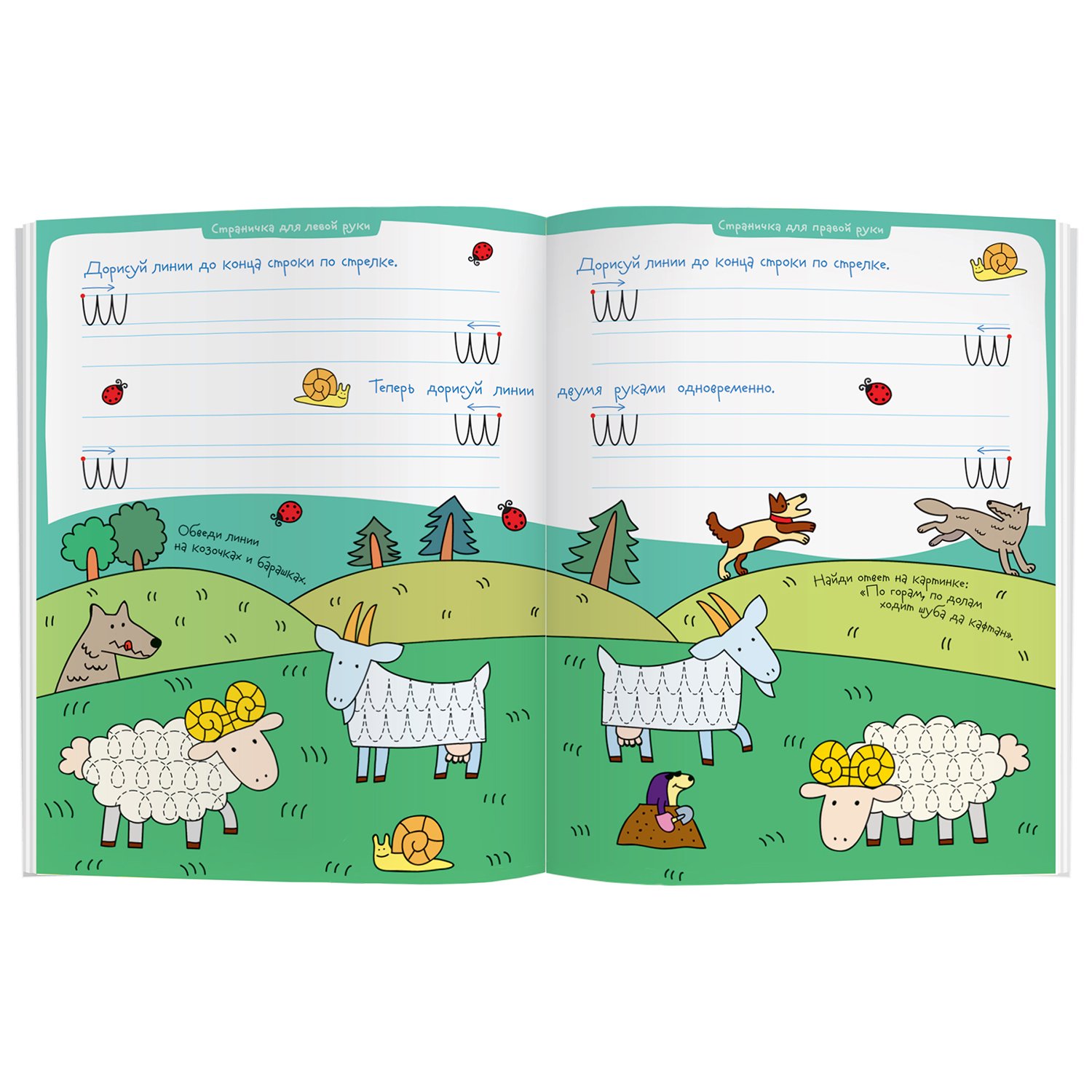 Фото Колечки у овечки. Рисуй и стирай 5+. Многоразовая раскраска