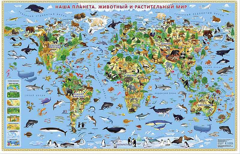 Фото Карта настенная для детей "Наша планета" Животный и растительный мир